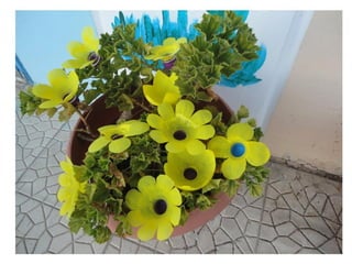 Recycle in nursery rizario school!