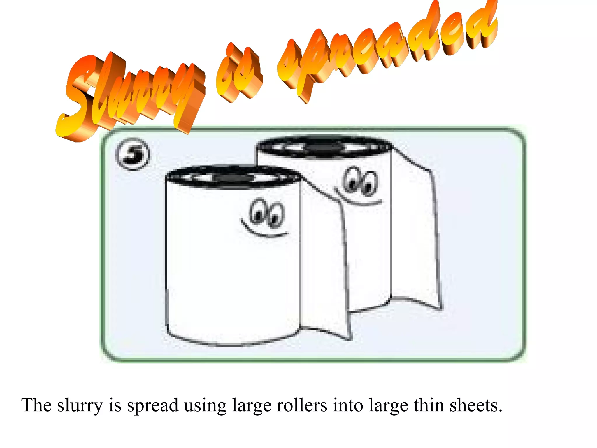 The slurry is spread using large rollers into large thin sheets.
 