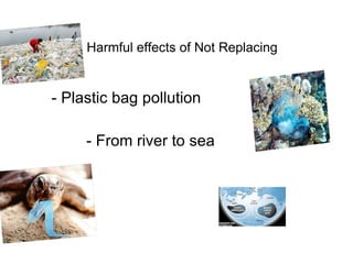 Harmful effects of Not Replacing - Plastic bag pollution - From river to sea 