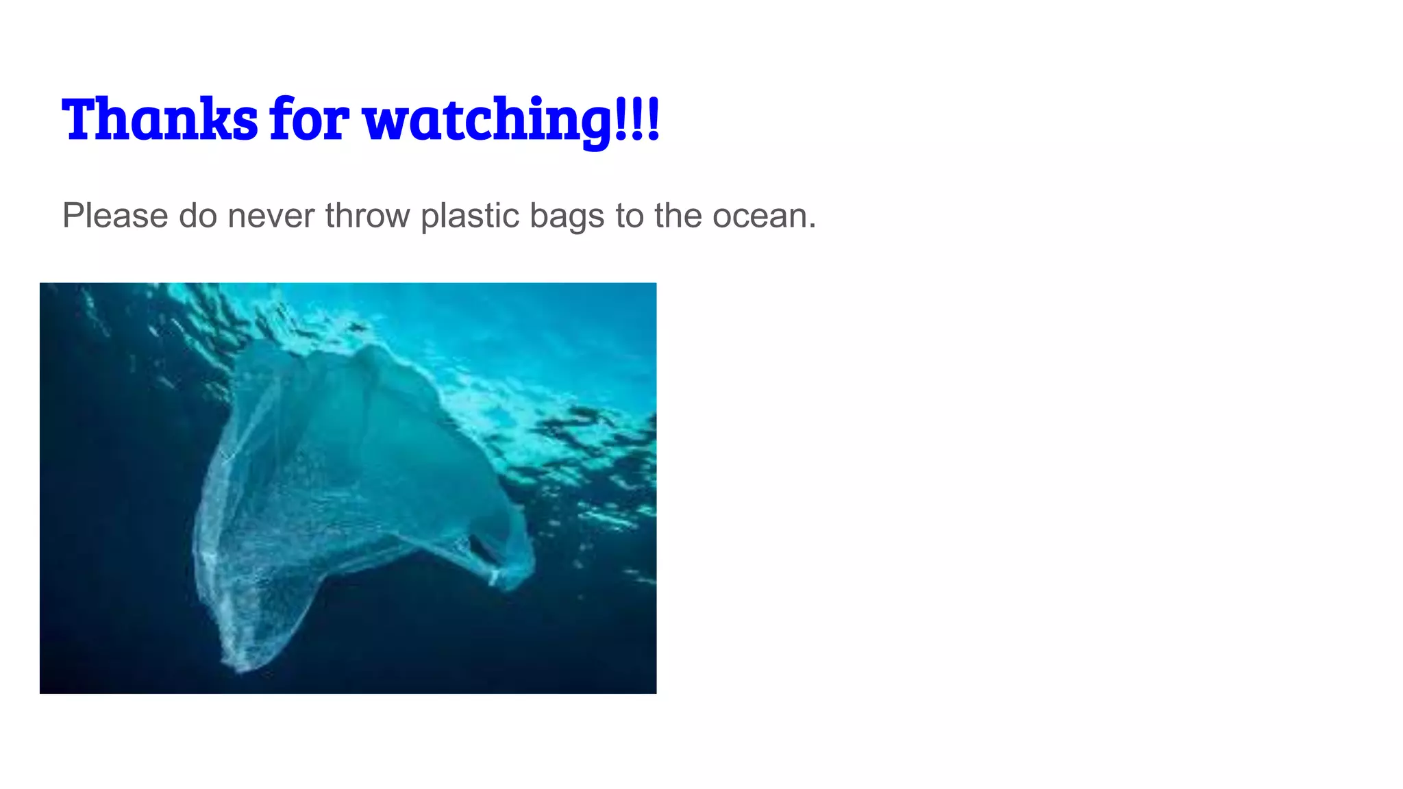 Thanks for watching!!!
Please do never throw plastic bags to the ocean.