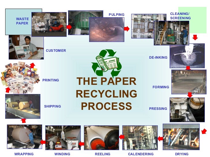 Term paper on recycling