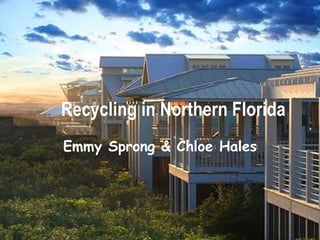 Recycling in Northern Florida
Emmy Sprong & Chloe Hales
 