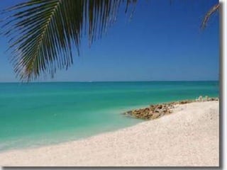 Recycling in north florida final ppt