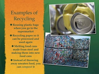 Examples of
Recycling
u Reusing plastic bags
when you go to the
supermarket
u Recycling paper so it
can be processed and
used again
u Melting food cans
made from steel and
making them into new
food cans
u Instead of throwing
away uneaten food, you
can compost it
 