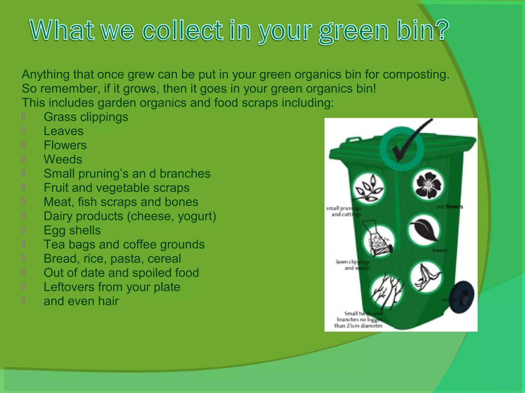 Anything that once grew can be put in your green organics bin for composting.
So remember, if it grows, then it goes in your green organics bin!
This includes garden organics and food scraps including:
   Grass clippings
   Leaves
   Flowers
   Weeds
   Small pruning’s an d branches
   Fruit and vegetable scraps
   Meat, fish scraps and bones
   Dairy products (cheese, yogurt)
   Egg shells
   Tea bags and coffee grounds
   Bread, rice, pasta, cereal
   Out of date and spoiled food
   Leftovers from your plate
   and even hair
 
