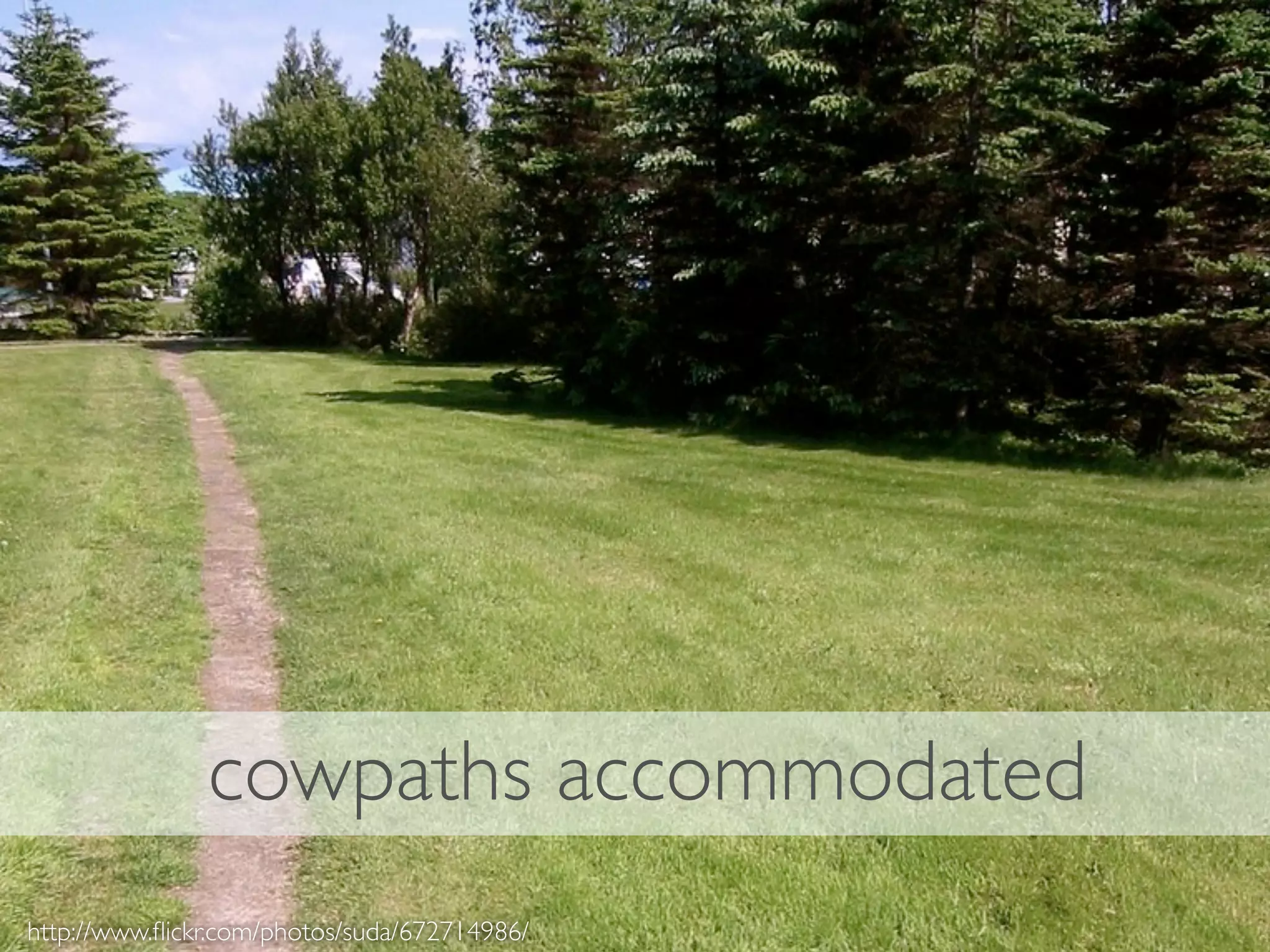 cowpaths accommodated
http://www.ﬂickr.com/photos/suda/672714986/
 