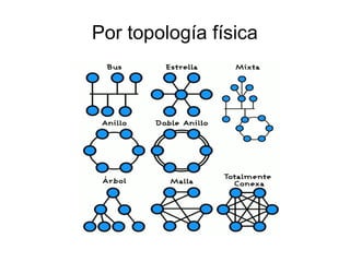 Por topología física
 