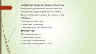 RED-BLOOD-CELLS-AND-THEIR-FUNCTION-2.ppt