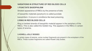 RED-BLOOD-CELLS-AND-THEIR-FUNCTION-2.ppt