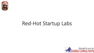 Red-Hot Startup Labs
 