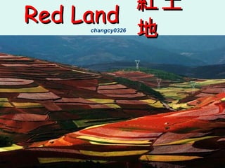 Red Land changcy0326   紅土地 
