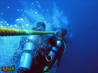 Red sea