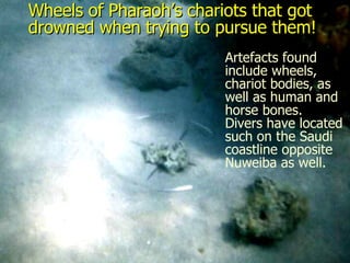 Wheels of Pharaoh’s chariots that got drowned when trying to pursue them!  Artefacts found include wheels, chariot bodies, as well as human and horse bones.  Divers have located such on the Saudi coastline opposite Nuweiba as well. 