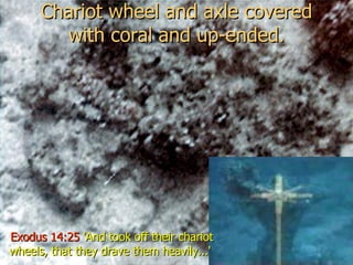 Chariot wheel and axle covered with coral and up-ended. Exodus 14:25  'And took off their chariot wheels, that they drave them heavily...'   