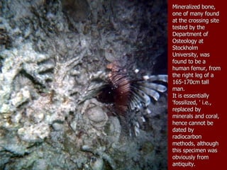 Mineralized bone, one of many found at the crossing site tested by the Department of Osteology at Stockholm University, was found to be a human femur, from the right leg of a 165-170cm tall man. It is essentially 'fossilized, ' i.e., replaced by minerals and coral, hence cannot be dated by radiocarbon methods, although this specimen was obviously from antiquity. 