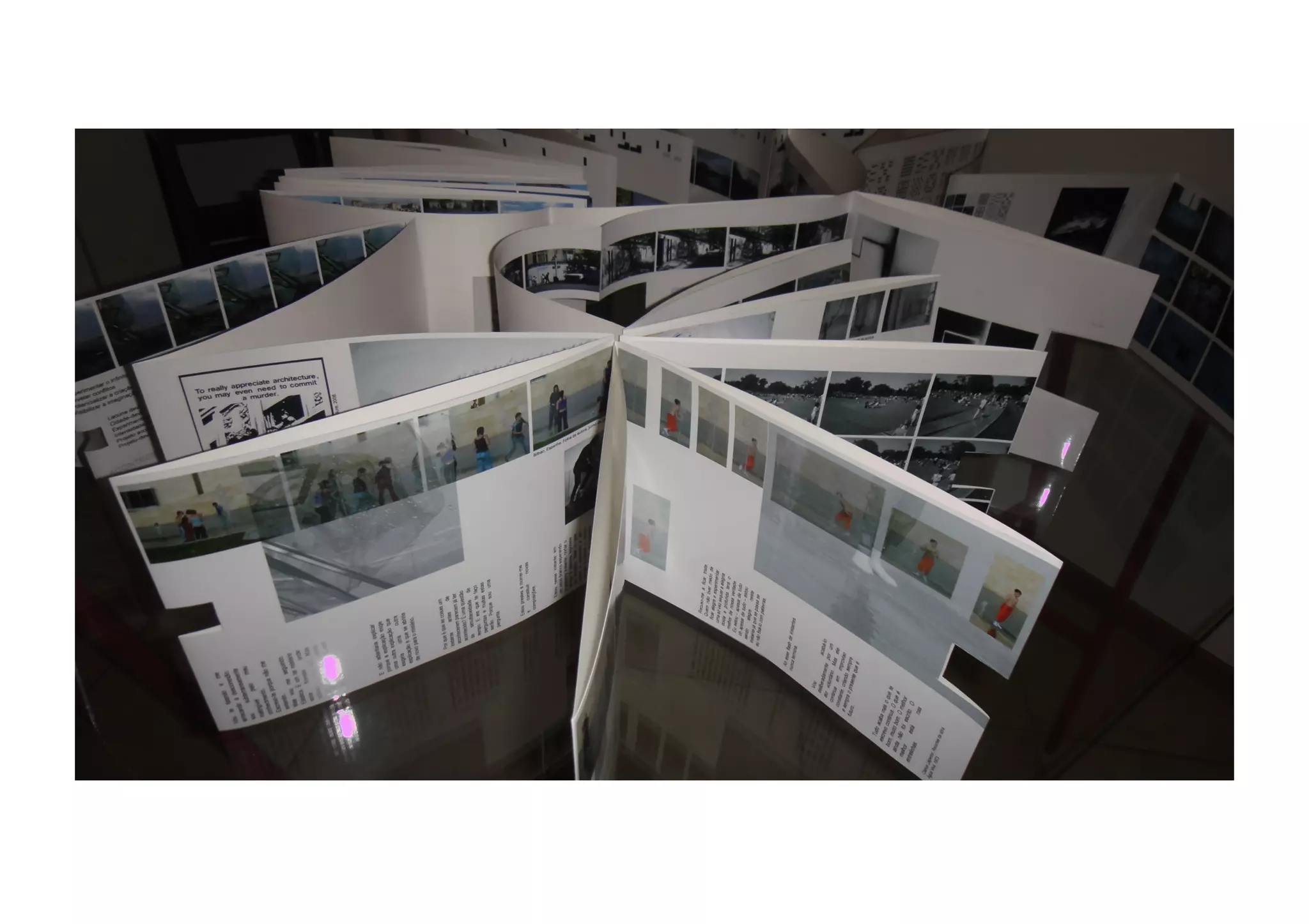 Imagens Sanfona - Tese de Doutorado Moema Loures