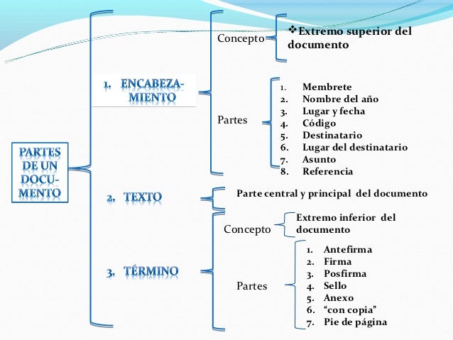 ESTRUCTURA DE DOCUMENTOS ADM.