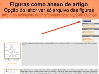Figuras como anexo de artigo   Opção do leitor ver só arquivo das figuras   http://jeb.biologists.org/cgi/content/figsonly/205/17/2665   