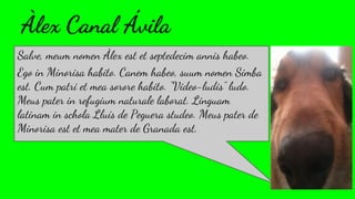 Salve, meum nomen Àlex est et septedecim annis habeo.
Ego in Minorisa habito. Canem habeo, suum nomen Simba
est. Cum patri et mea sorore habito. “Video-ludis” ludo.
Meus pater in refugium naturale laborat. Linguam
latinam in schola Lluís de Peguera studeo. Meus pater de
Minorisa est et mea mater de Granada est.
Àlex Canal Ávila
 