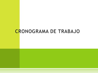 CRONOGRAMA DE TRABAJO
 