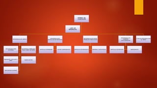 NORMAS DE
VANCOUVER
REFERENCIA DE LIBROS
INDIVIDUOS COMO
AUTORES
EDITOR(ES),COMPILADO
R(ES) COMO AUTORES
Organización como autor y
editor Capitulo de libro
tesis doctoral (o similar)
REFERENCIA DE
ARTÍCULOS DE REVISTAS
ARTÍCULO ESTÁNDAR AUTOR CORPORATIVO
REFERENCIA DE OTROS
TRABAJOS PUBLICADOS
ARTÍCULO DE PERIÓDICO MATERIAL AUDIOVISUAL
REFERENCIA DE
FUENTES
ELECTRÓNICAS
ARTÍCULO DE REVISTA MONOGRAFÍA
CITAS DE REFERNCIA EN
EL TEXTO
LISTA DE
REFERNCIAS
 