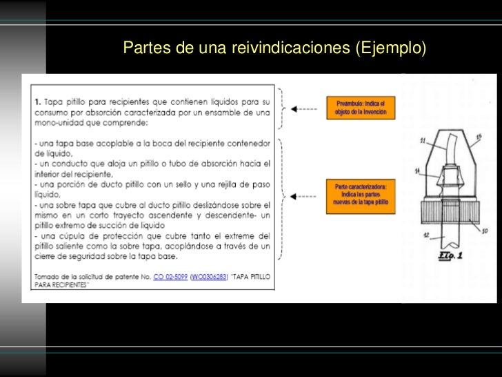 Redaccion De Solicitudes De Patente