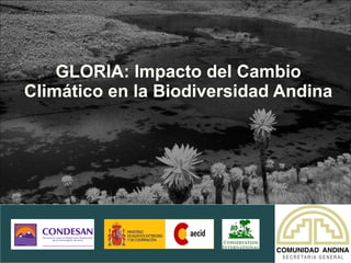 GLORIA: Impacto del Cambio Climático en la Biodiversidad Andina 