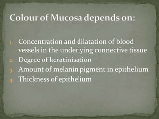 1. Concentration and dilatation of blood
vessels in the underlying connective tissue
2. Degree of keratinisation
3. Amount of melanin pigment in epithelium
4. Thickness of epithelium
 