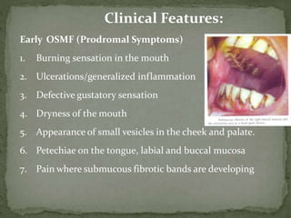 Clinical Features:
Early OSMF (Prodromal Symptoms)
1. Burning sensation in the mouth
2. Ulcerations/generalized inflammation
3. Defective gustatory sensation
4. Dryness of the mouth
5. Appearance of small vesicles in the cheek and palate.
6. Petechiae on the tongue, labial and buccal mucosa
7. Pain where submucous fibrotic bands are developing
 