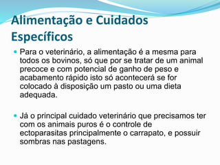 Alimentação e Cuidados
Específicos
 Para o veterinário, a alimentação é a mesma para
todos os bovinos, só que por se tratar de um animal
precoce e com potencial de ganho de peso e
acabamento rápido isto só acontecerá se for
colocado à disposição um pasto ou uma dieta
adequada.
 Já o principal cuidado veterinário que precisamos ter
com os animais puros é o controle de
ectoparasitas principalmente o carrapato, e possuir
sombras nas pastagens.
 