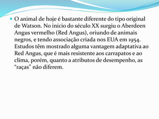  O animal de hoje é bastante diferente do tipo original
de Watson. No início do século XX surgiu o Aberdeen
Angus vermelho (Red Angus), oriundo de animais
negros, e tendo associação criada nos EUA em 1954.
Estudos têm mostrado alguma vantagem adaptativa ao
Red Angus, que é mais resistente aos carrapatos e ao
clima, porém, quanto a atributos de desempenho, as
“raças” não diferem.
 