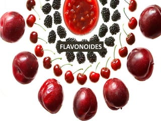 FLAVONOIDES
 