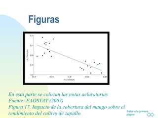 Figuras En esta parte se colocan las notas aclaratorias Fuente: FAOSTAT (2007) Figura 17. Impacto de la cobertura del mango sobre el rendimiento del cultivo de zapallo  