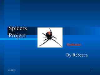 Spiders Project    By Rebecca  01/08/09 Redbacks 