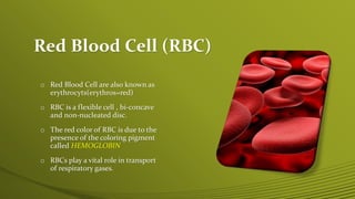 Red Blood Cell (RBC)
o Red Blood Cell are also known as
erythrocyts(erythros=red)
o RBC is a flexible cell , bi-concave
and non-nucleated disc.
o The red color of RBC is due to the
presence of the coloring pigment
called HEMOGLOBIN
o RBCs play a vital role in transport
of respiratory gases.
 