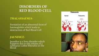 Irregular Rbc Red Blood Cell | PPTX