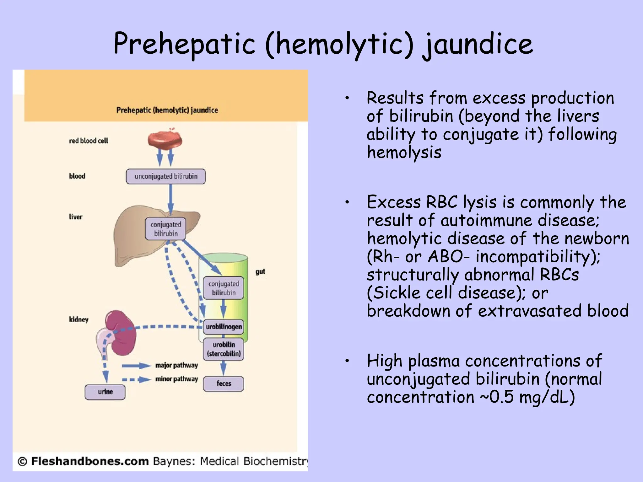 Excessive Rbc Breakdown RED BLOOD CELL DESTRUCTION & heme degradation.ppt