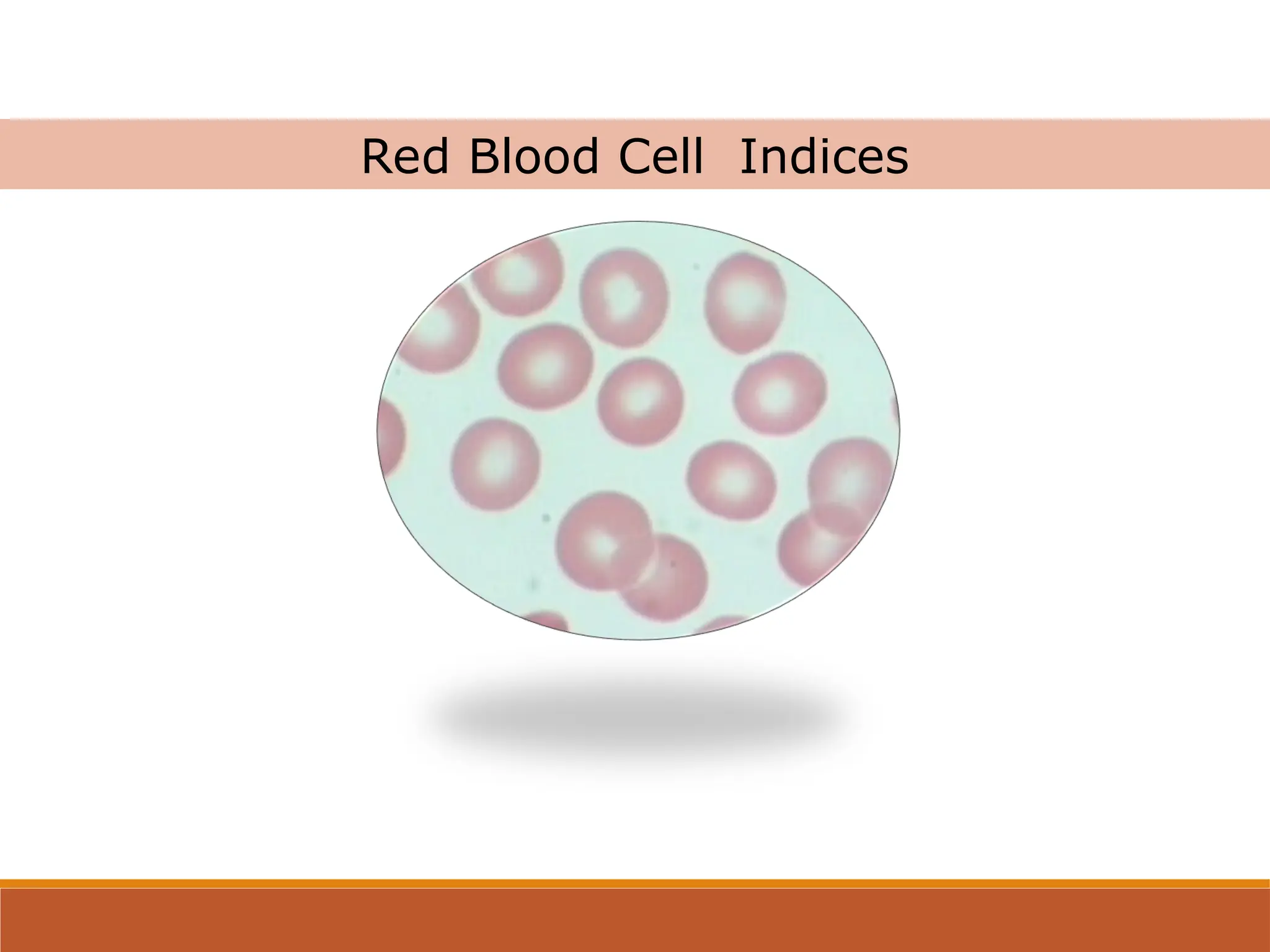 Red blood cell indices. Types of blood indices | PPT