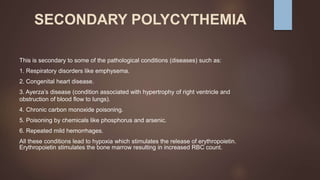 SECONDARY POLYCYTHEMIA
This is secondary to some of the pathological conditions (diseases) such as:
1. Respiratory disorders like emphysema.
2. Congenital heart disease.
3. Ayerza’s disease (condition associated with hypertrophy of right ventricle and
obstruction of blood flow to lungs).
4. Chronic carbon monoxide poisoning.
5. Poisoning by chemicals like phosphorus and arsenic.
6. Repeated mild hemorrhages.
All these conditions lead to hypoxia which stimulates the release of erythropoietin.
Erythropoietin stimulates the bone marrow resulting in increased RBC count.
 