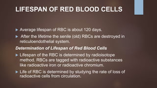 LIFESPAN OF RED BLOOD CELLS
 Average lifespan of RBC is about 120 days.
 After the lifetime the senile (old) RBCs are destroyed in
reticuloendothelial system.
Determination of Lifespan of Red Blood Cells
 Lifespan of the RBC is determined by radioisotope
method. RBCs are tagged with radioactive substances
like radioactive iron or radioactive chromium.
 Life of RBC is determined by studying the rate of loss of
radioactive cells from circulation.
 