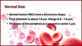 Bhc Normal Red Blood Cells.pdf