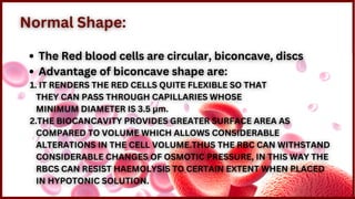 Bhc Normal Red Blood Cells.pdf