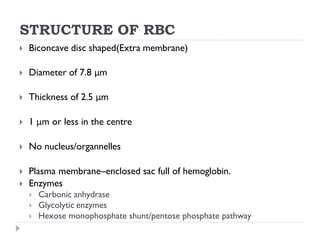 Disc Rbc Rivet RED BLOOD CELLS.pdf year one physiology2024 | PDF
