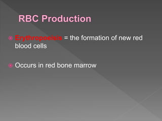  Erythropoeisis = the formation of new red
blood cells
 Occurs in red bone marrow
 