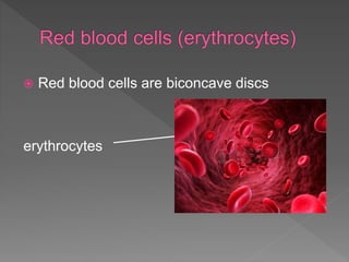  Red blood cells are biconcave discs
erythrocytes
 