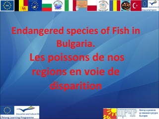 Endangered species of Fish in Bulgaria .   Les poissons de nos r e gions en voie de disparition 