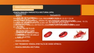 Bhc Normal ANEMIAS clasificación, interpretación de laBiométrica hematica y sus ...