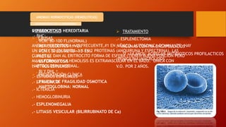 Bhc Normal ANEMIAS clasificación, interpretación de laBiométrica hematica y sus ...
