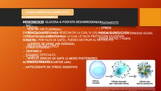 Bhc Normal ANEMIAS clasificación, interpretación de laBiométrica hematica y sus ...