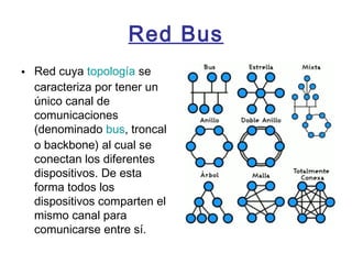 Red Bus
• Red cuya topología se
caracteriza por tener un
único canal de
comunicaciones
(denominado bus, troncal
o backbone) al cual se
conectan los diferentes
dispositivos. De esta
forma todos los
dispositivos comparten el
mismo canal para
comunicarse entre sí.
 